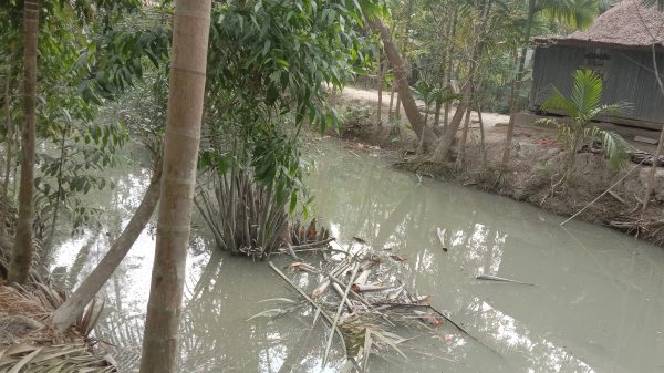 দখলে অস্তিত্বহীন পাথরঘাটার বোবারখাল !!!